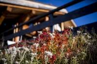Terrasse Flocons de Sel Restaurant Gastronomique Megève, Haute-Savoie Emmanuel Renaut