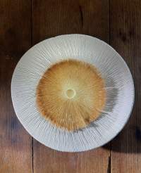 Plat Flocons de Sel Restaurant Gastronomique Megève, Haute-Savoie Emmanuel Renaut