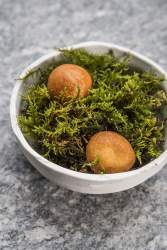 Plat Flocons de Sel Restaurant Gastronomique Megève, Haute-Savoie Emmanuel Renaut