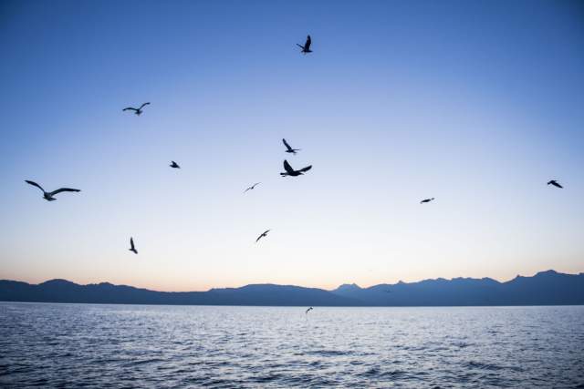 La pêche durable - Eric Jacquier et Emmanuel Renaut