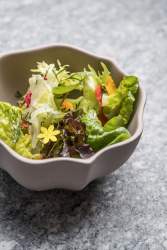 Plat Flocons de Sel Restaurant Gastronomique Megève, Haute-Savoie Emmanuel Renaut